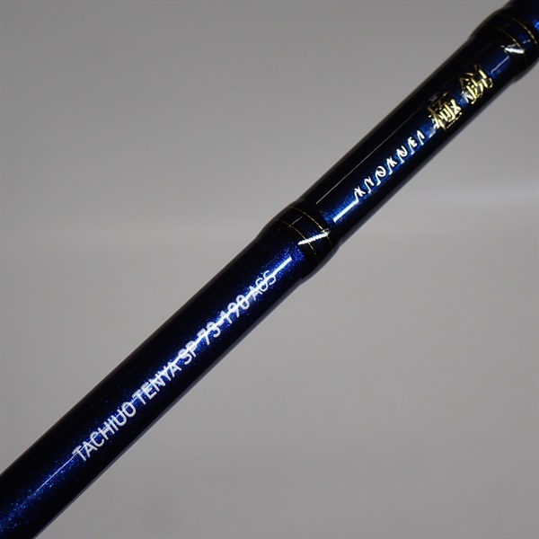 ２１極鋭タチウオテンヤＳＰ７３－１９０ＡＧＳ